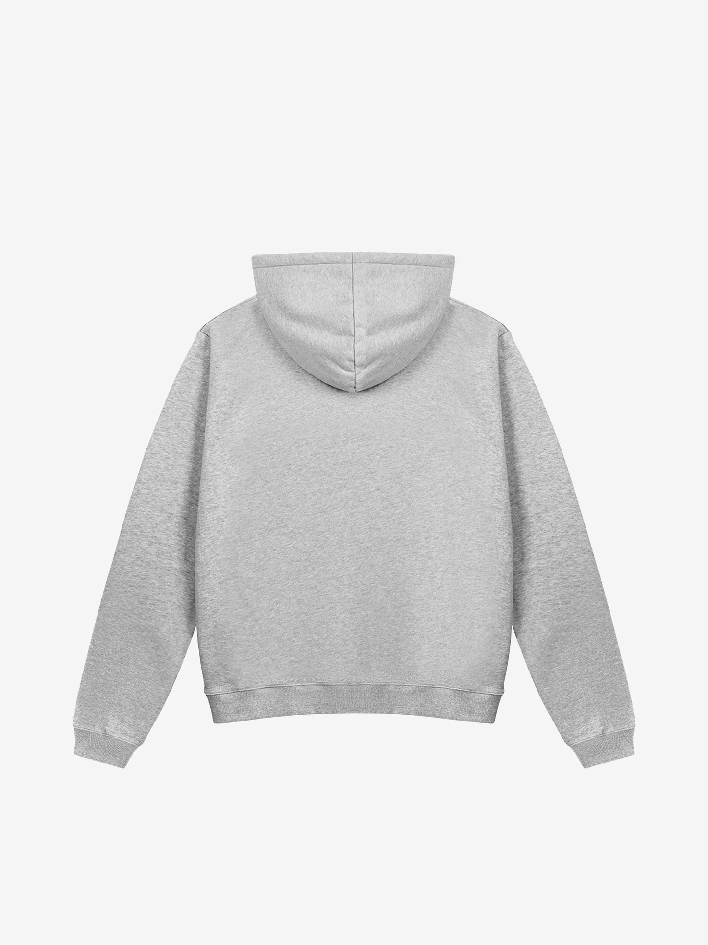 [Wellness Program] Hoodie - Washed Grey